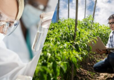 #GrupoFides | #AND 𝐂𝐨𝐦𝐢𝐞𝐧𝐳𝐚 𝐥𝐚 𝐜𝐨𝐧𝐯𝐨𝐜𝐚𝐭𝐨𝐫𝐢𝐚 𝐋𝐞𝐠𝐚𝐝𝐨 𝟐𝟎𝟐𝟓, 𝐞𝐥 𝐩𝐫𝐨𝐠𝐫𝐚𝐦𝐚 𝐝𝐞 𝐁𝐚𝐲𝐞𝐫 𝐲 𝐄𝐧𝐝𝐞𝐚𝐯𝐨𝐫…