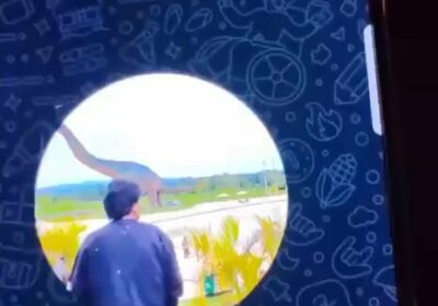 #GrupoFides | #ANF “Es con todo, hermanos: la batalla final. Esto va a empeorar.…