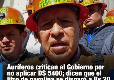#GrupoFides | #ANF #Economía El sector aurífero cuestionó la falta de control del Gobierno…