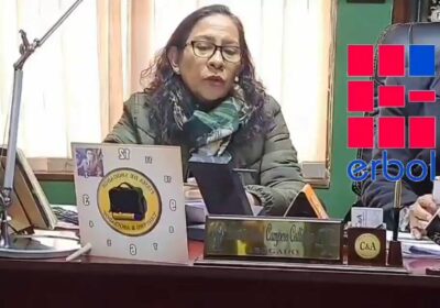 Maziel Terrazas denuncia a magistrados del Tribunal Constitucional por prevaricato, debido a la decisión…