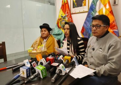 Consejal alteña Wilma Alanoca dice que los enfrentamientos en LLALLAGUA son “armados y montados…