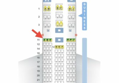 🇮🇳 | ¡MILAGRO! Un pasajero sobrevivió al accidente del vuelo 171 de Air India.…