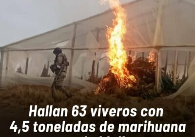 El operativo evidencia que el narcotráfico opera en el norte del departamento de Potosí.…