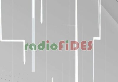 #GrupoFides | #ANF El diputado de Comunidad Ciudadana (CC), Alejandro Reyes, indicó que el…