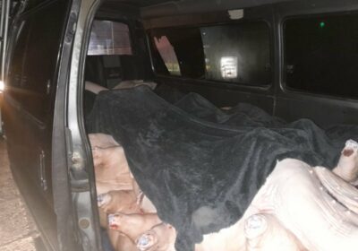 #GrupoFides | #ANF El viceministro de Lucha Contra el Contrabando, Luis Velázquez, informó que…