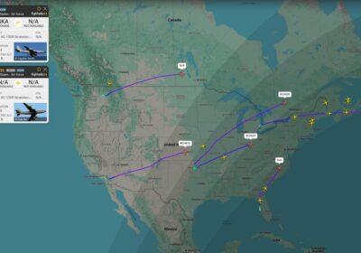 | Un grupo de 28 aviones militares estadounidenses de reabastecimiento aéreo fue visto volando…