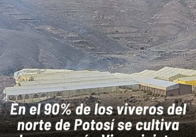 En esta región, golpeada por movilizaciones de evistas, también se detectó el ingreso de…