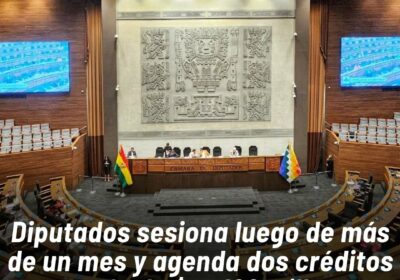 La última vez que sesionó el pleno de la Cámara de Diputados fue el…