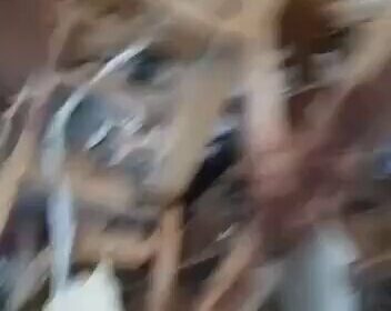 | URGENTE: Ataque terrorista suicida durante una misa en la Iglesia de San Elías…