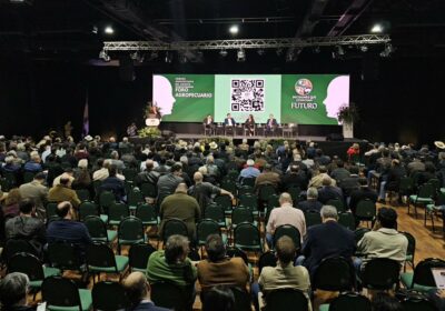 Mi respuesta a la séptima y octava preguntas del Foro Castigo severo al abigeato…