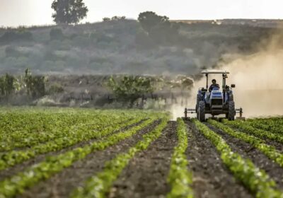 Bolivia tiene todas las condiciones para convertirse en un gran productor de alimentos a…