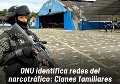 Estas redes, en vez de imponer el control mediante la violencia, priorizan el flujo…