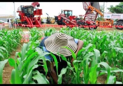 Consideramos que el Foro de la Cámara Agropecuaria del Oriente (CAO) implicaba un escenario…