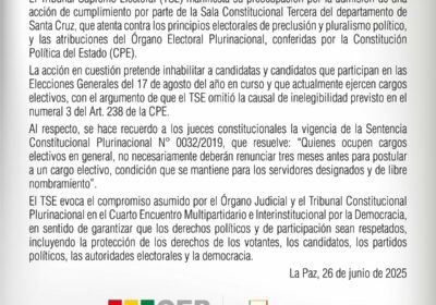 ¿Inhabilitar a candidatos que actualmente ejercen algún cargo? El TSE dice que no es…