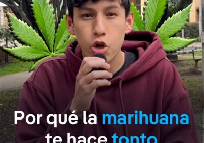 ¿Sabías que la #marihuana está viviendo una edad dorada? 2022 marcó un hito en…