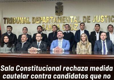 La solicitud no cumplió con los requisitos formales establecidos, informó el presidente del Tribunal…