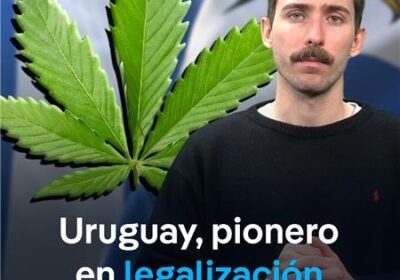 ¿Éxito o fracaso? ¿Es la legalización de la #marihuana en #Uruguay un ejemplo a…