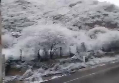 #Último | Reportan una intensa nevada en la zona de Canaletas y Piedra Larga,…