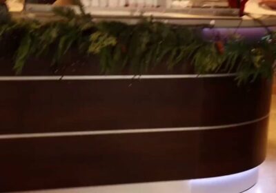 🇺🇸 | LO ÚLTIMO: ICE realiza una redada en un lugar de trabajo en…