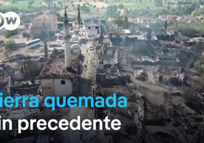 Turquía lucha contra los incendios forestales. En lo que va de año, el fuego…