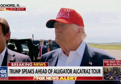 🇺🇸 | Trump y DeSantis respaldan rehacer el censo solo contando ciudadanos estadounidenses. Trump…