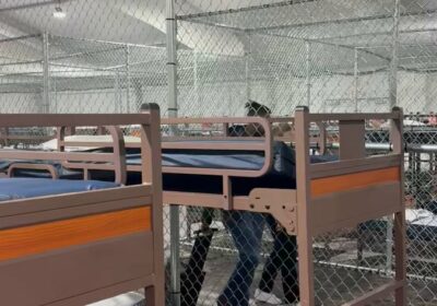 🇺🇸 | LO ÚLTIMO — Revelan detalles adicionales de las celdas en el “Alligator…