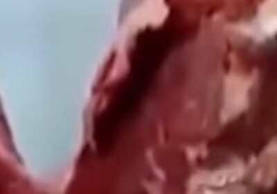 #GrupoFides | #ANF Los comercializadores de carne de res en Cochabamba informaron una reducción…