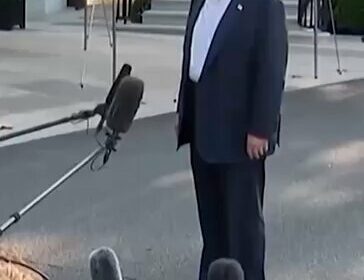 Trump bromea con cómo huir de un caimán a quien escape del centro de…