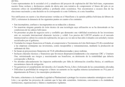 Organizaciones de la sociedad civil, estudiosas del proyecto de explotación del litio, se declaran…