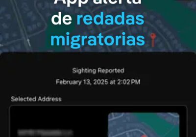 Qué es ICEBlock, la app que alerta de la presencia cercana de agentes de…