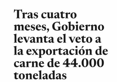 ¿Te refieres a esto, Gabriela?