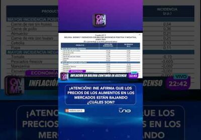 EL INE ASEGURA QUE LOS PRECIOS DE LOS ALIMENTOS EN LOS MERCADOS ESTÁN BAJANDO