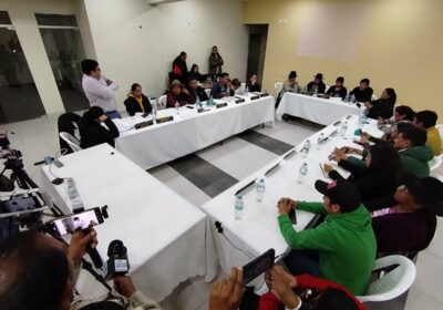#Urgente | El asambleísta Francisco Rentería (MAS) no logra los votos necesarios (10) para…