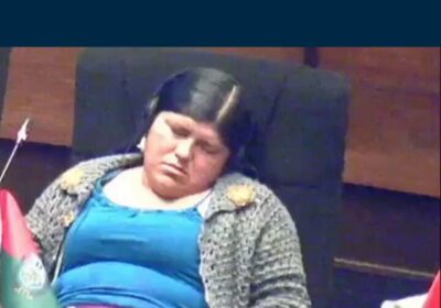 la Diputada del MAS, Zulay Mamani, dormía durante la sesión para tratar el tema…