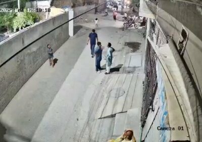 🇵🇰 | Un león, que un residente local tenía como mascota, escapó e hirió…