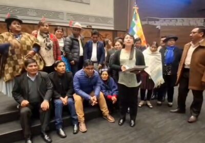 La Asamblea tiene todo el derecho de revisar contratos de litio que abandonaron la…