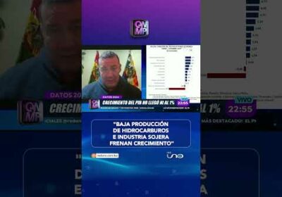 INE atribuye bajo crecimiento a caída de soya y gas