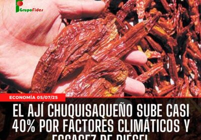 #GrupoFides | #ANF Germán Ovando, representante de los productores, indicó que entre un 30%…