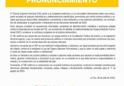 TSE denuncia ataque sistemático con el propósito de obstaculizar la realización de las elecciones…