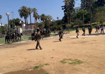 🇺🇸‼️ | Una redada masiva anti-inmigración sacude Los Ángeles, mientras agentes federales ignoran los…