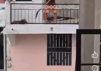 🇲🇽 | Un hombre fue arrestado en Mazatlán tras confirmarse el brutal maltrato a…