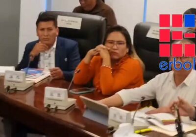 La diputada potosina Lissa Claros irrumpe en la sesión de la Comisión de Economía…