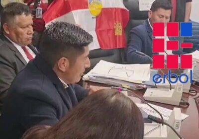 De esta manera, el presidente de la Comisión de Economía Plural de Diputados, Hernán…