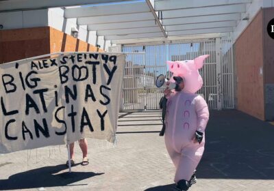 🇺🇸 | ÚLTIMA HORA — Un hombre disfrazado de cerdo protesta frente a las…