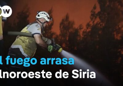 Estos son los obstáculos que impiden que Siria controle los incendios forestales Las tareas…