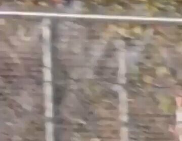 🇺🇸 | ÚLTIMA HORA: Ghislaine Maxwell está dispuesta a revelar todo lo que sabe…