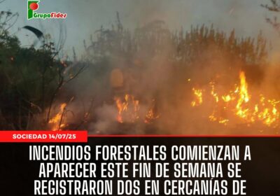 #GrupoFides | #ANF Los primeros incendios forestales de la temporada comenzaron a aparecer este…