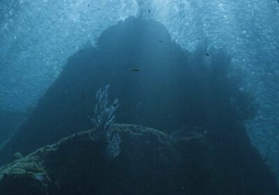 Este robot llega donde los buzos no pueden Un robot submarino te permite vivir…