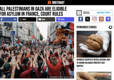 🇫🇷🇵🇸🇮🇱 | ATENCIÓN — Un tribunal francés dictaminó que todos los palestinos de Gaza pueden…