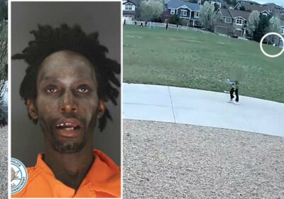 🇺🇸‼️ | Solomon Galligan, delincuente sexual captado en cámara intentando secuestrar a un niño…